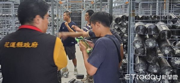 ▲受強震影響，吉安鄉木耳菇寮固定層架歪斜，導致菇包掉落、破損。（圖／記者王兆麟翻攝，下同）