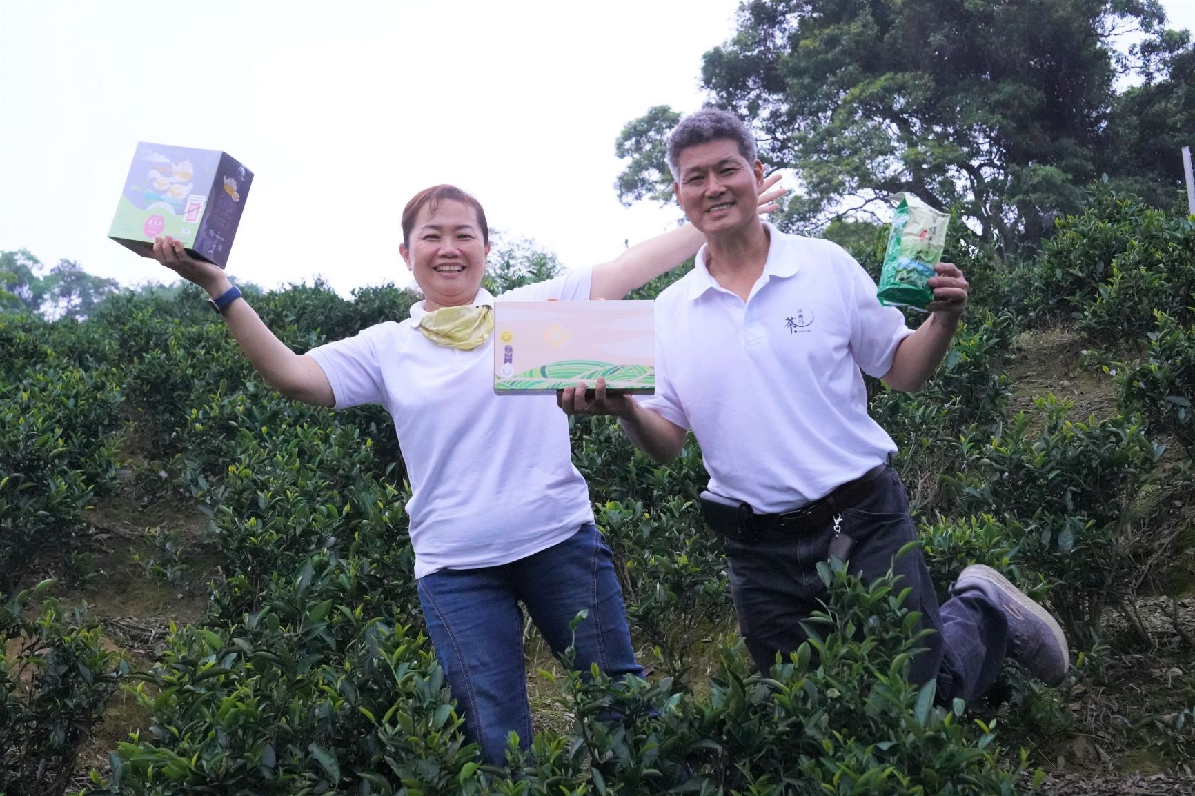 ▲傳承50年製茶技術 新北6代茶行奪碧螺春特等獎。（圖／新北市農業局提供）