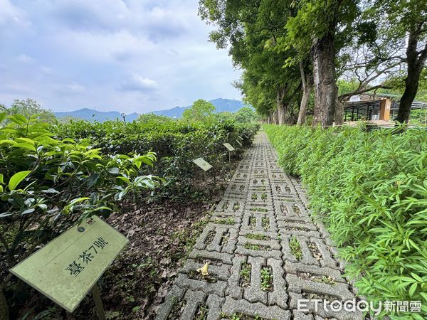 ▲文山農場,六堆．文山,新店區旅遊。（圖／記者彭懷玉攝）