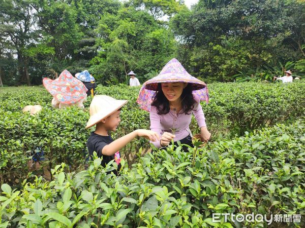 ▲▼文山農場親子賞螢火蟲生態小旅行。（圖／記者林璟倩攝）