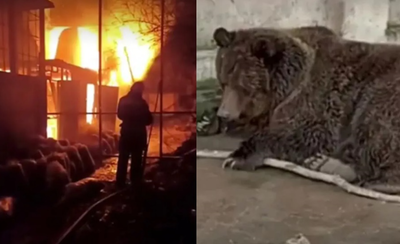 克里米亞動物園大火「狂燒4小時」　200多隻動物受困火海死亡