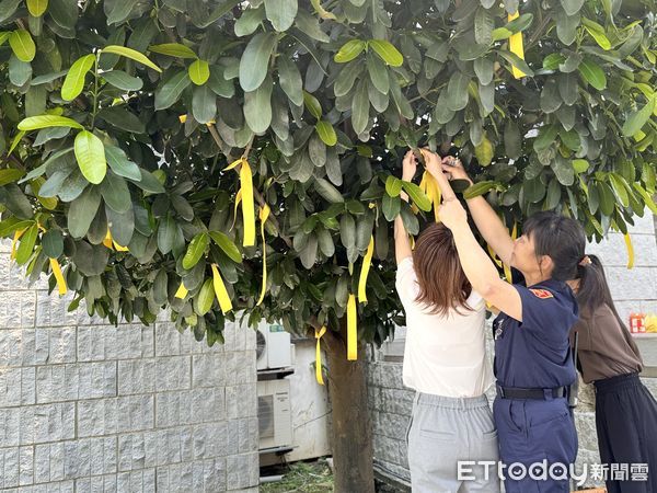 ▲▼        士林地院李昭然 。（圖／記者黃宥寧攝）