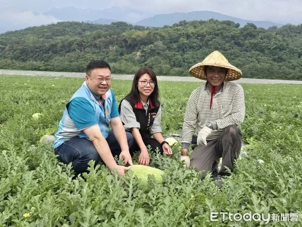 ▲▼歷經大地震，花蓮瓜農仍堅守在田地，繼續耕耘守護農產，使得這些綠寶石維持著最好的品質與風味。（圖／花蓮縣政府提供，下同）