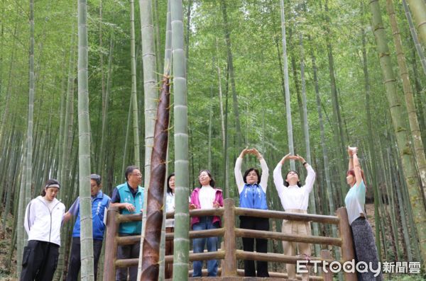 ▲2024世界竹博覽會，雲林「草嶺石壁森林療癒基地」從4月19日至28日展開一系列活動。（圖／記者蔡佩旻翻攝）