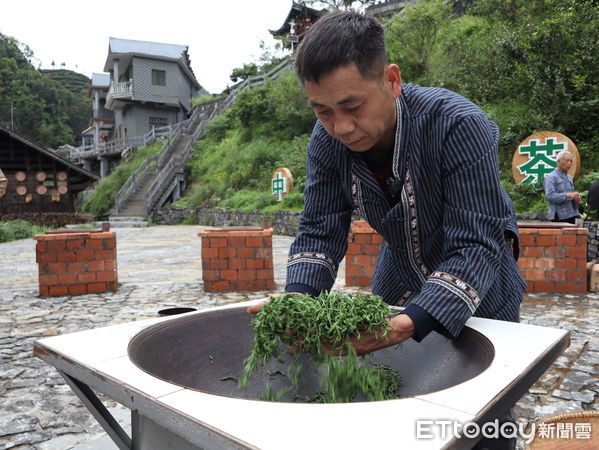 ▲▼ 保靖黃金茶,湖南茶,湘茶。（圖／記者蔡儀潔攝）