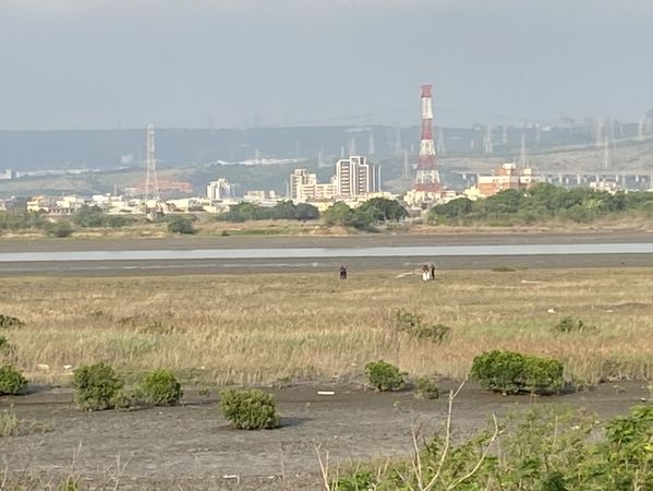 ▲伸港海域驚現白骨。（圖／民眾提供）