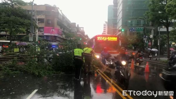 ▲內湖瑞光路24日上午驚傳路樹倒塌阻礙交通。（圖／記者張君豪翻攝）