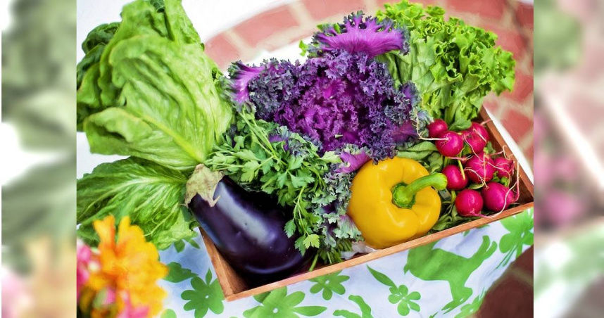 「多吃水果和蔬菜」的道理幾乎人人都知道，但若有以下7種表現，說明你蔬菜沒吃夠。（示意圖／翻攝Pixabay）