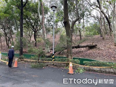 快訊／樹木砸死無辜路人！　澄清湖風景區緊急封園1週