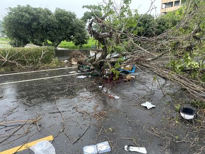 快訊／彰化大雨！芬園鄉路樹倒塌　砸中郵差命危送醫搶救