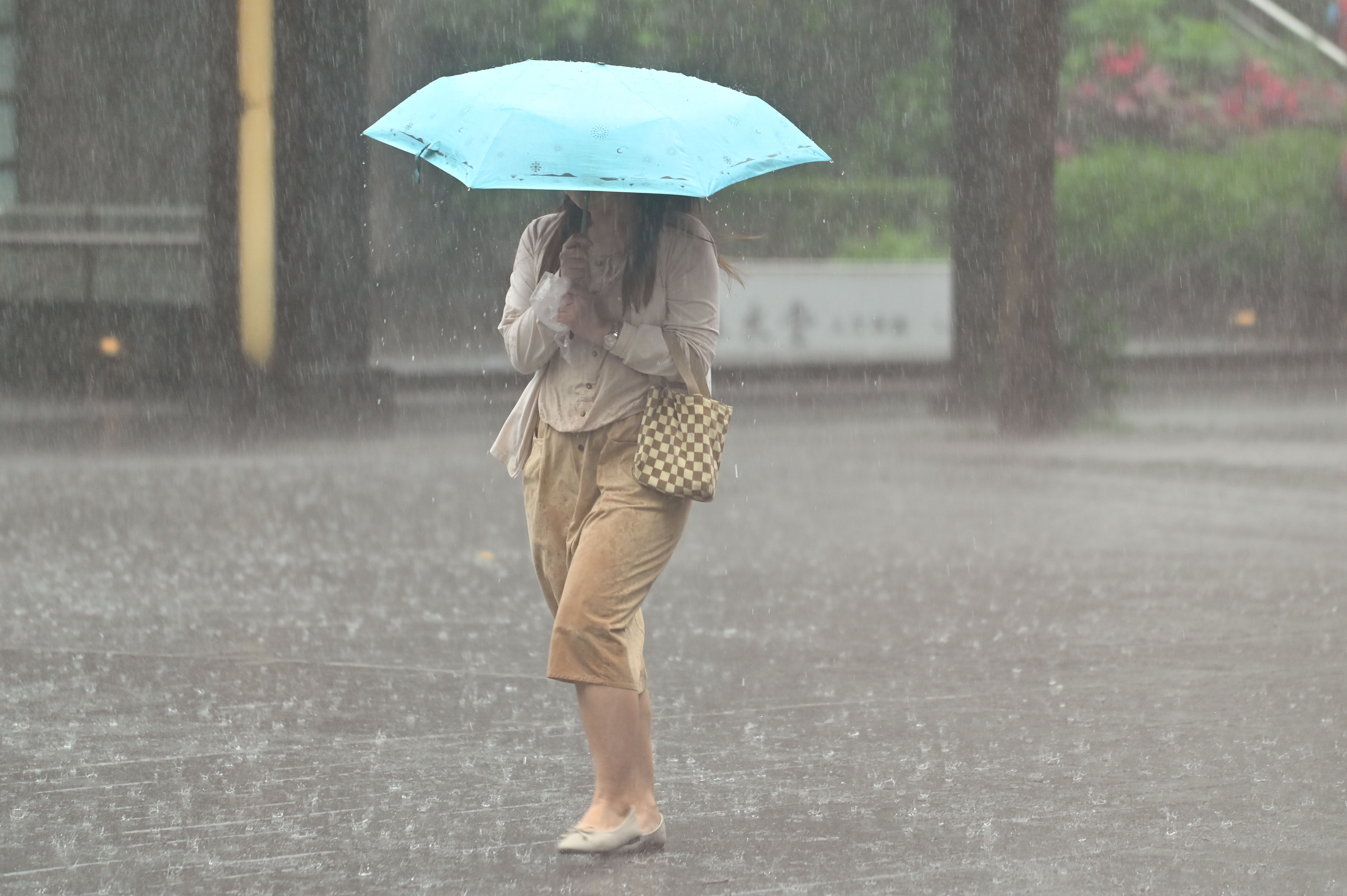 ▲▼天氣,行人,路人,雷雨,大雨,大雷雨,下雨,雨天,豪大雨,午後雷陣雨,梅雨,降雨,氣象,豪雨,西南氣流,滯留鋒面,撐傘,雨傘,陰雨綿綿,潮濕,濕度,熱對流,天氣配圖。（圖／記者李毓康攝）