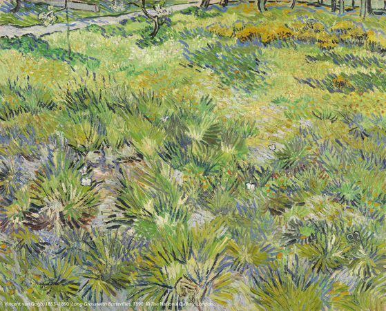▲▼文森．梵谷（1853–1890）作品〈長草地與蝴蝶〉，1890年創作。（圖／英國國家藝廊c）