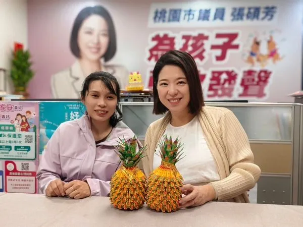 ▲桃園醫療資源分配不均