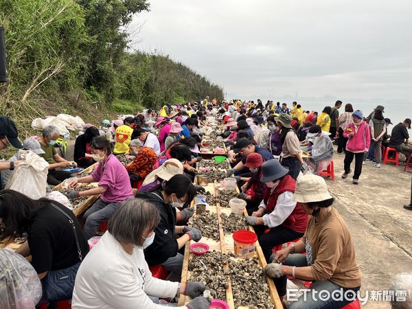 ▲▼             金門千人剝蚵。（圖／記者林名揚翻攝）