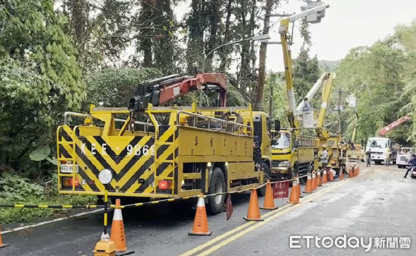 ▲▼南投路樹壓倒高壓電線。（圖／記者高堂堯翻攝）