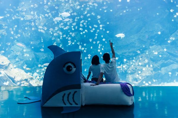▲COZZI Blu和逸飯店．桃園館與Xpark聯手，於2022年推出星級夜宿行程「Blu Night」。（圖／業者提供）