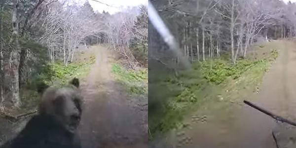 ▲▼北海道一名男子在路上開車時，突遭棕熊攻擊，導致雨刷彈出、擋風玻璃破裂。（圖／翻攝自YouTube）