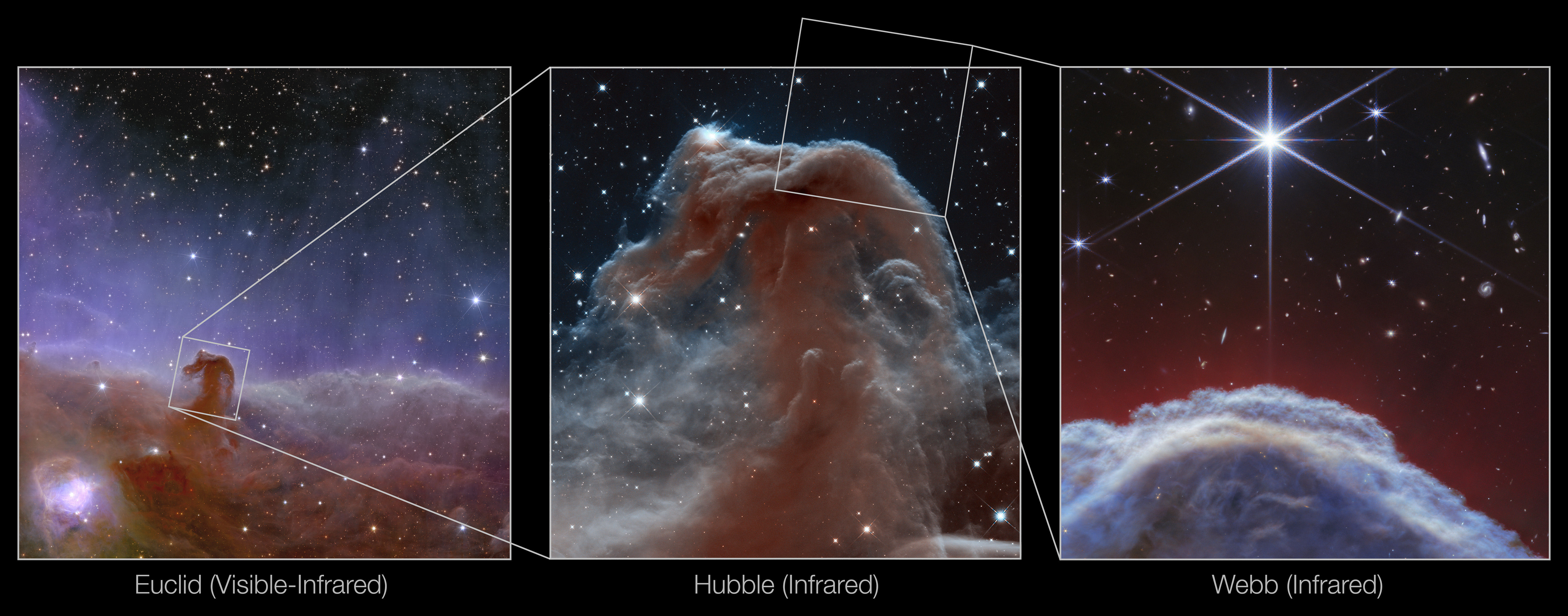 ▲▼ 美國國家航空暨太空總署（NASA）今天表示，韋伯太空望遠鏡捕捉到「馬頭星雲」歷來最清晰的紅外線影像。（圖／達志影像／美聯社）