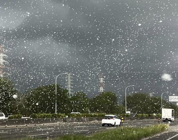 ▲國道彰化路段飄雪了。（圖／民眾提供）