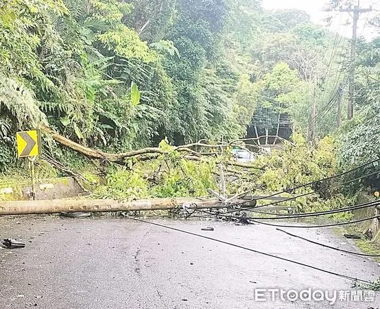 ▲桃園市復興區今天清晨再度停電，主因樹木壓斷電線桿，造成復興區中正路、台七線與山區部落近5000戶停電。（圖／記者沈繼昌翻攝）