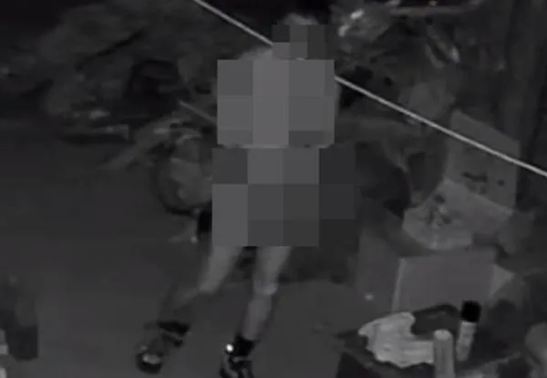 ▲▼             。（圖／截取自臉書社團）