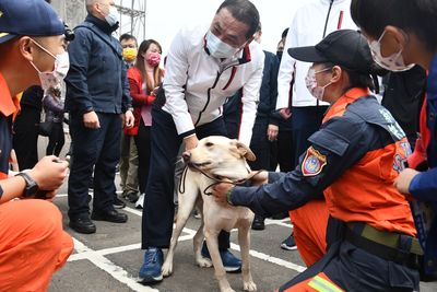 新北搜救犬「木蘭」罹癌過世 侯友宜不捨:任務結束、以你為傲
