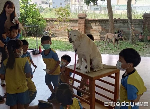 ▲台南市消防局第五大隊文賢分隊，結合仁德幼兒園全園師生、教職員及幼生家長員工，在母親節前夕，共同舉辦親子共學防災消防體驗活動。（圖／記者林東良翻攝，下同）