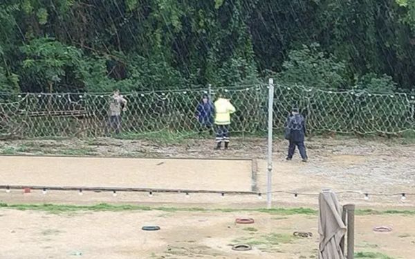 ▲▼廣東暴雨「4條鱷魚逃出來」　官方警告居民：不要外出！。（圖／翻攝CCTV）