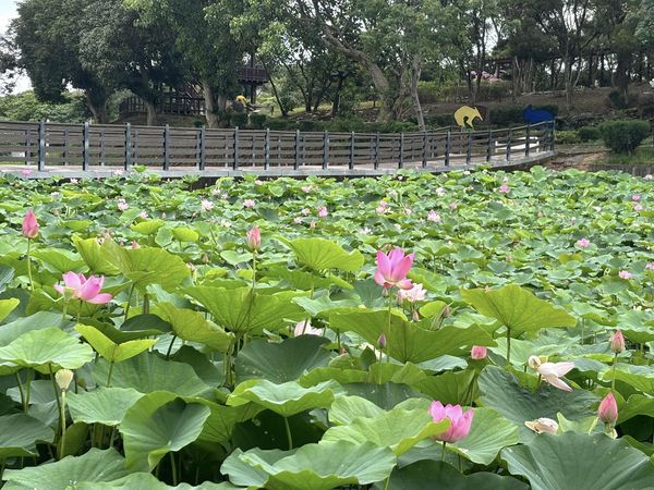 ▲▼台南五月活動。（圖／台南市政府提供）