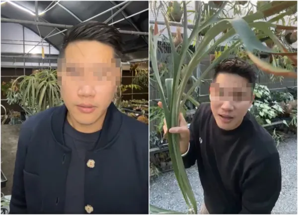 ▲▼。（圖／翻攝當事店家粉絲團，下同）