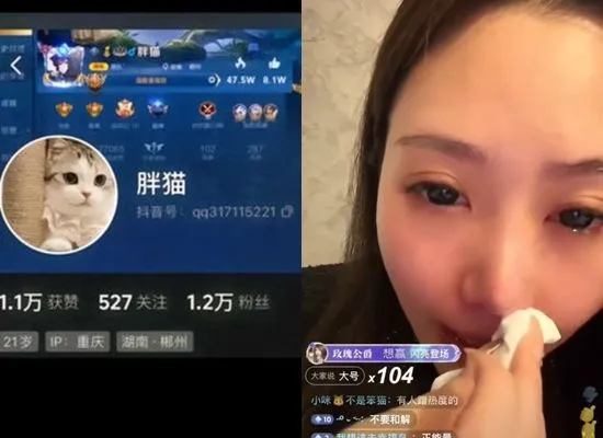 ▲胖貓姊姊先前多次公開為弟弟發聲。（圖／翻攝自微博）