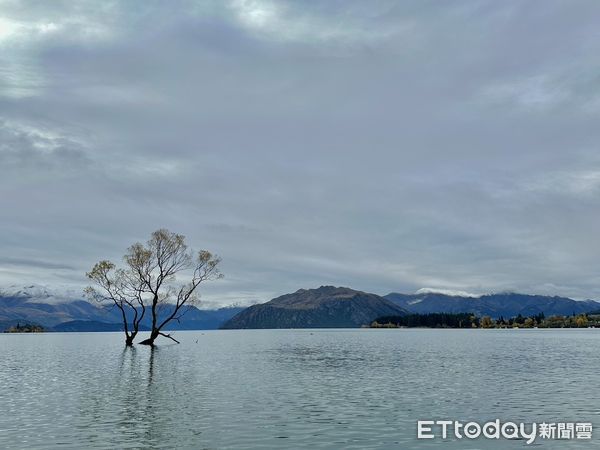 ▲▼紐西蘭南島 瓦納卡小鎮,瓦納卡湖。（圖／記者周姈姈攝）