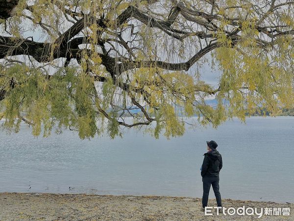 ▲▼紐西蘭南島 瓦納卡小鎮,瓦納卡湖。（圖／記者周姈姈攝）