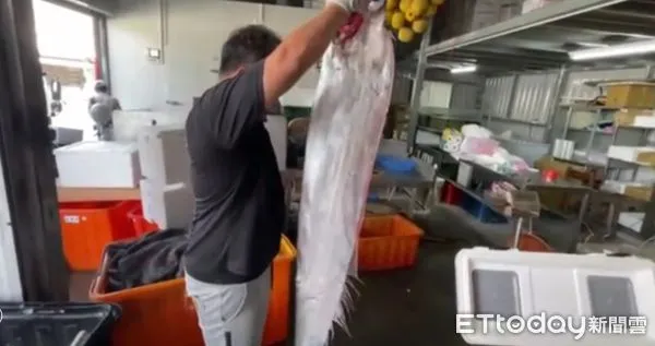 ▲台東富岡捕魚船近日捕獲多尾地震魚。（圖／記者楊漢聲翻攝）