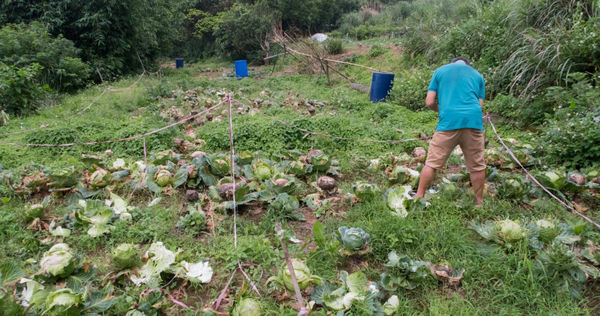北市議員陳怡君幫忙削筍伯繳罰款，經歷幾天輾轉終於找到人。（圖／翻攝自中山大同陳怡君臉書）