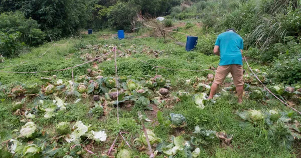 北市議員陳怡君幫忙削筍伯繳罰款，經歷幾天輾轉終於找到人。（圖／翻攝自中山大同陳怡君臉書）