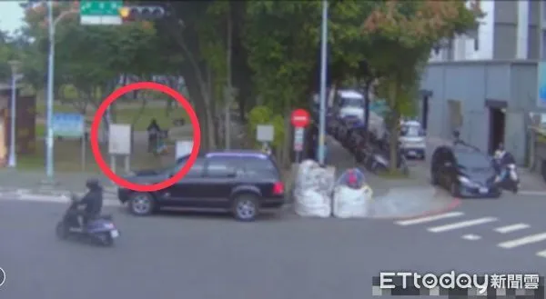 ▲▼  詹女棄養2貓           。（圖／記者戴上容翻攝）