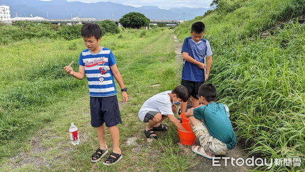 ▲東海國小參與台東科學展覽會榮獲第2名。（圖／記者楊漢聲翻攝）