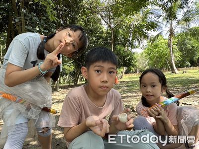 迎接新生　台南水道博物館黑冠麻鷺喜迎4幼雛鳥網友敲碗求直播