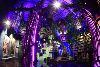 台南新景點「魔域王座」！15米書櫃爬滿藤蔓　穿越魔法世界當王者
