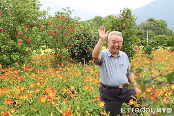 ▲園區內不同品種的萱草盛開近萬朶，舖成色彩繽紛的花海。（圖／記者王兆麟攝，下同）