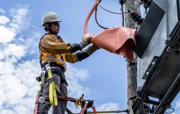 ▲▼香港電力公司中電集團。（圖／翻攝中電集團）