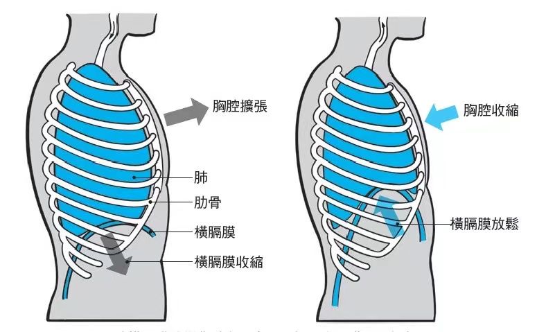 ▲▼  人體身心靈系統使用手冊 。（圖／商周提供）