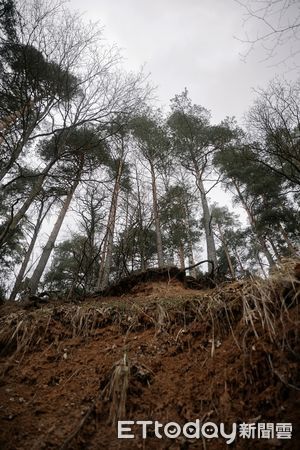 ▲▼花蓮稅務局表示，因山崩、地陷、流失、沙壓等環境限制及技術上無法使用之土地，地價稅全免。（圖／記者王兆麟翻攝，下同）