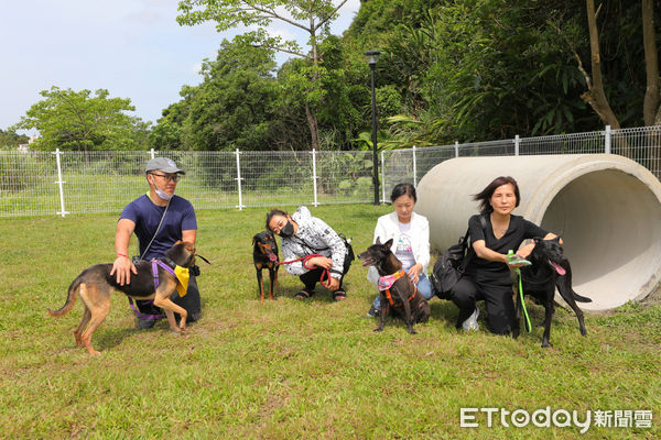 ▲基隆首座寵物公園在暖暖 謝國樑開箱毛孩開心瘋玩。（圖／記者郭世賢翻攝）