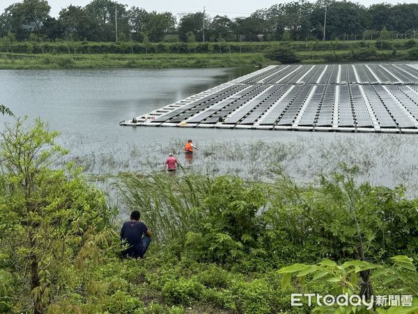 ▲▼嘉義公館滯洪池疑有鱷魚出沒。（圖／嘉義縣政府）