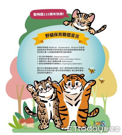 台北市立動物園馬來虎。（圖／台北市立動物園提供）