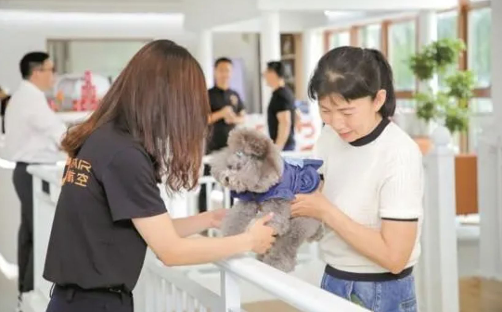 ▲深圳寶安國際機場打造大陸首個「寵物候機廳」。（圖／翻攝深圳發布）