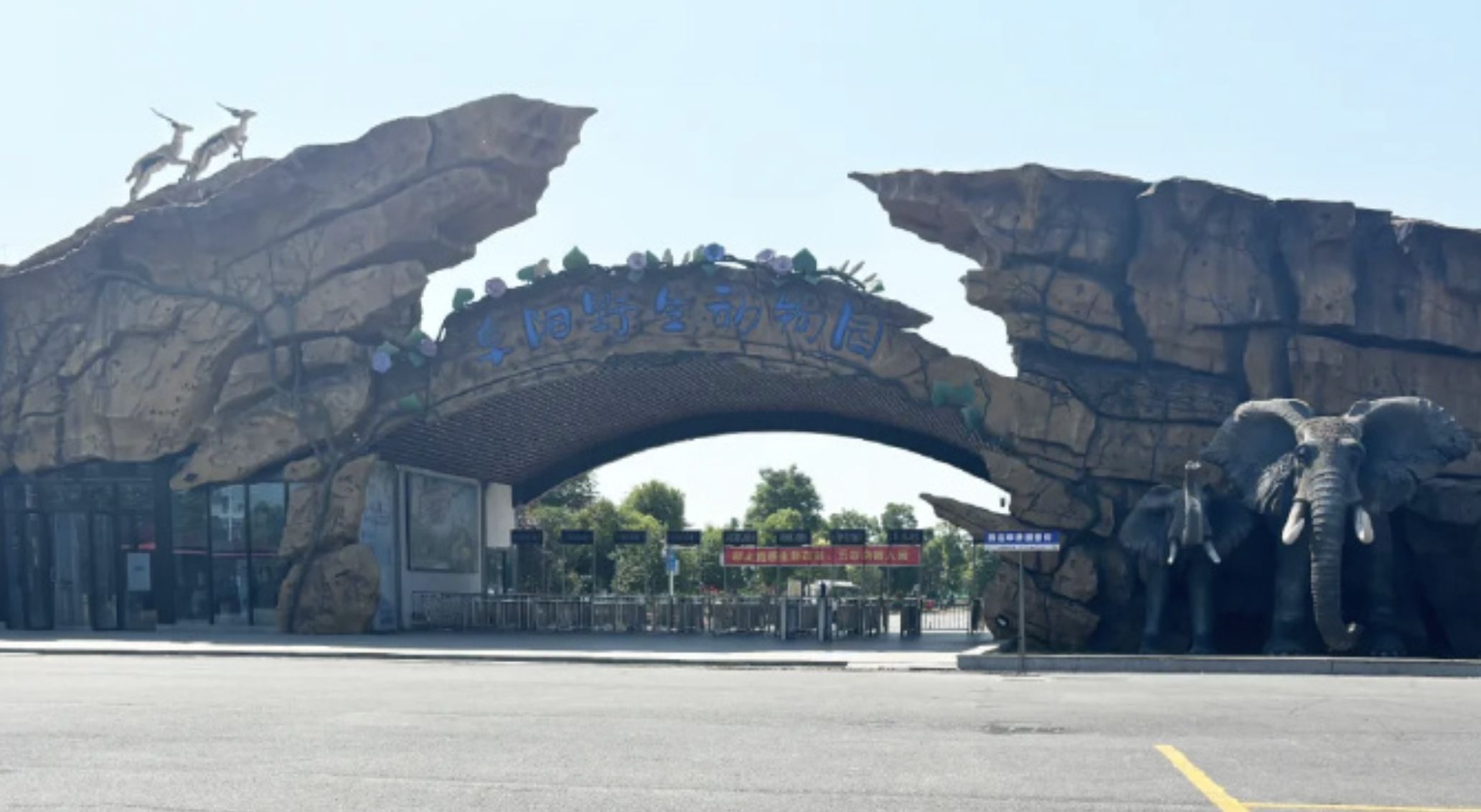 ▲阜陽野生動物園。（圖／翻攝微博）