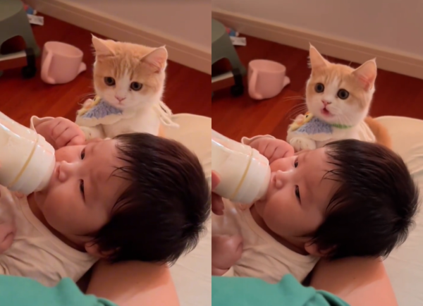 貓咪跟妹妹一起喝奶，像雙胞胎。（圖／翻攝自小紅書@啃一口甘蔗）